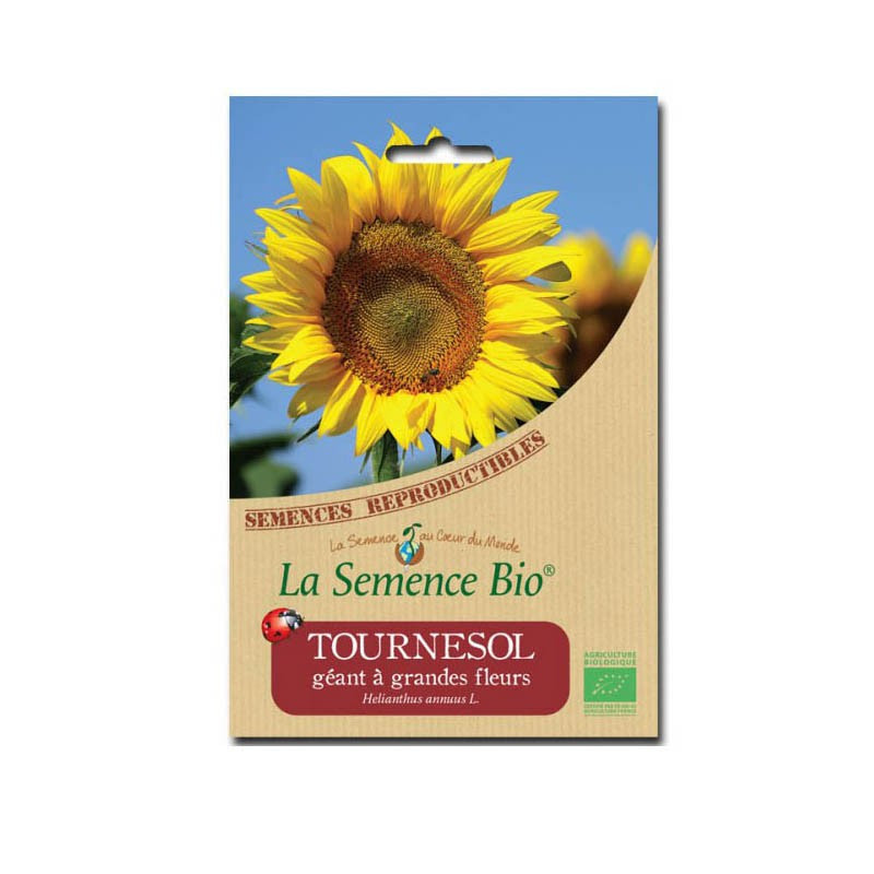 Bio Sonnenblumenkerne Riesen-Sonnenblume - La Semence Bio