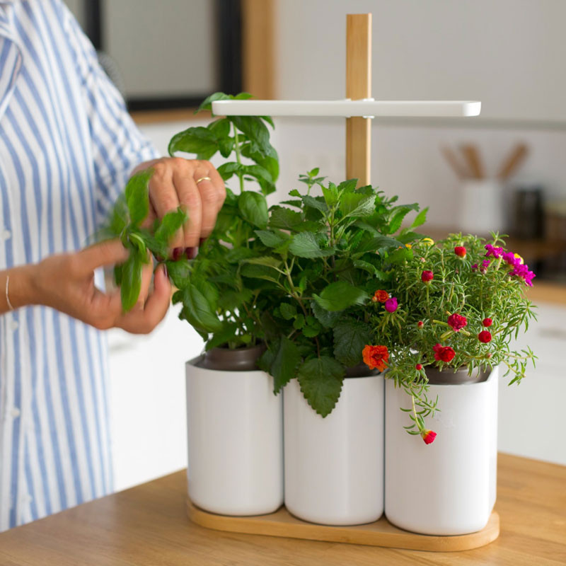 Le kit du mini jardinier pour plantes avec pots en bambou et