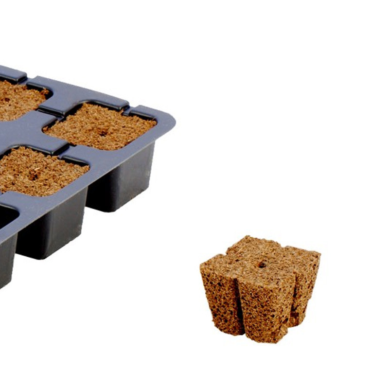 Plaque de 12 cubes pour semis et bouture - Eazy Plug