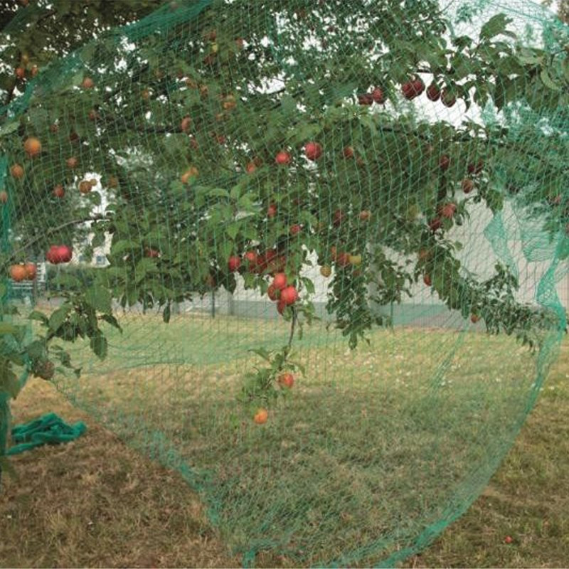 Rete di protezione delle colture - 2 x 5 m - Ribiland Rete di protezione delle colture - 2 x 5 m - Ribiland