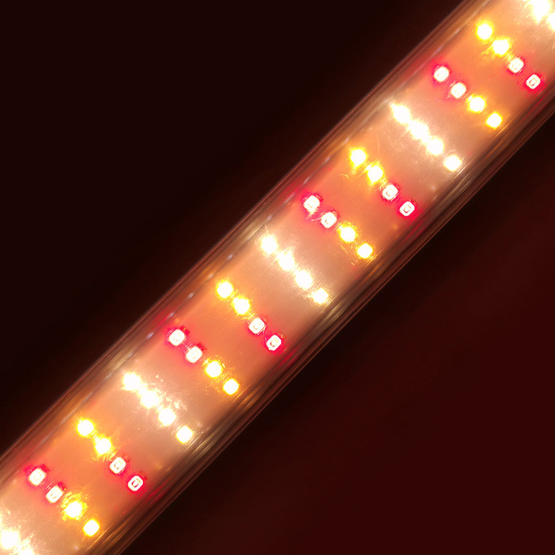 Neon LED Bar 3000K - 26W 55cm - Fioritura - Advanced Star