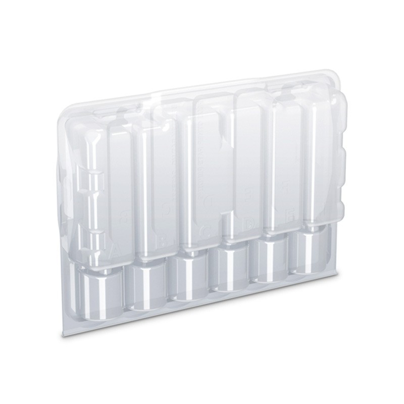 Scatola di plastica trasparente - 12 talee 24,4 x 16 x 8,7 cm