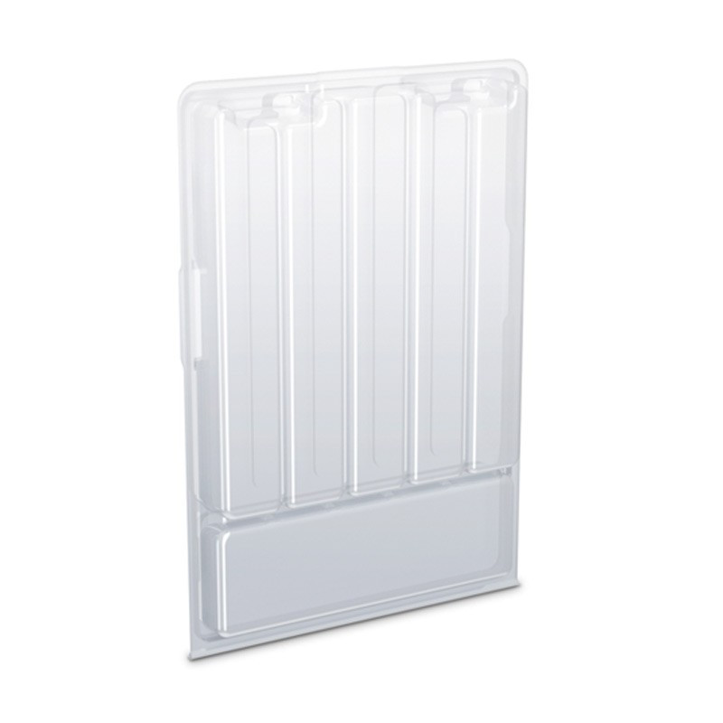 BOITE TRANSPARENTE 180X229X39MM POUR ENVOI BOUTURES BOITE TRANSPARENTE 180X229X39MM POUR ENVOI BOUTURES