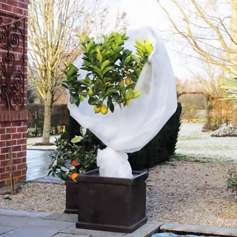 Nature - Winter cover - PP - White 30 g/m2 - 2 X 5 m Nature - Winter cover - PP - White 30 g/m2 - 2 X 5 m