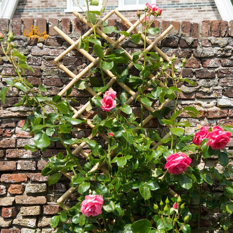 Nature - Streckbares Bambusgitter - 45x180 cm Nature - Streckbares Bambusgitter - 45x180 cm