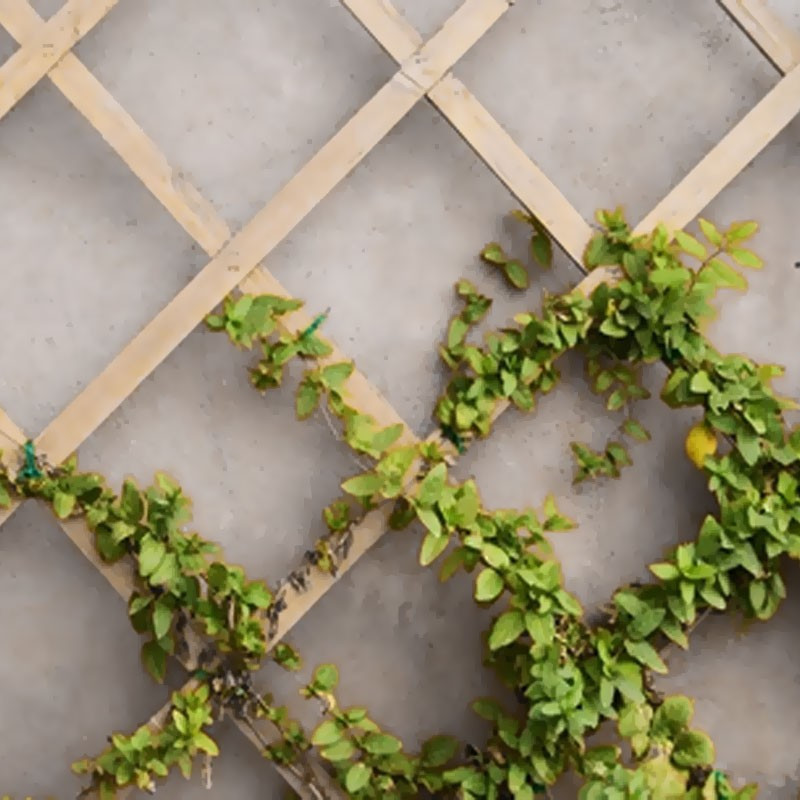 Nature - Expandable natural wood trellis - 50x150cm Nature - Expandable natural wood trellis - 50x150cm