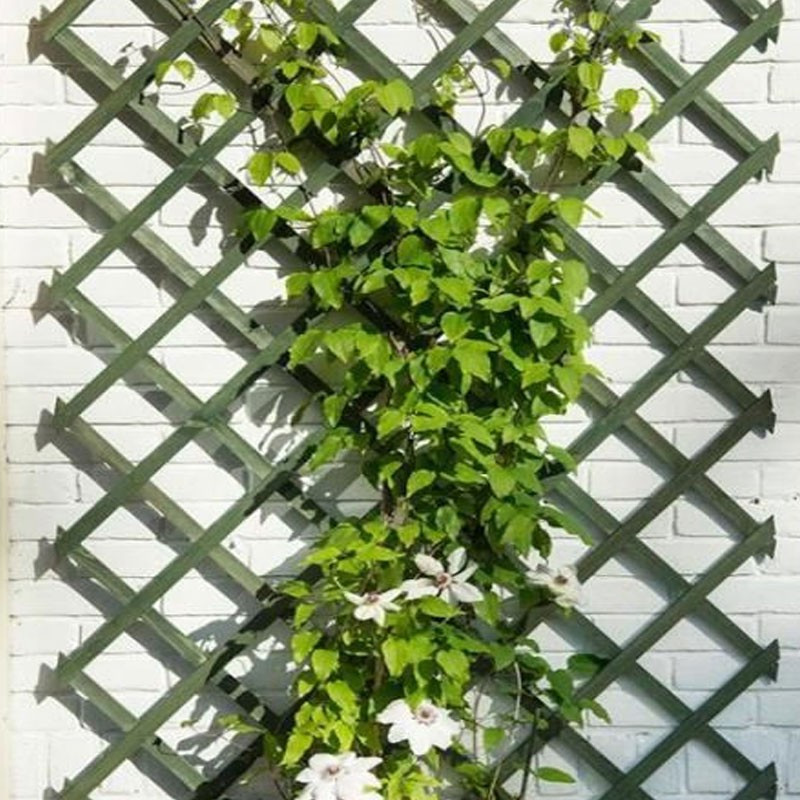 Nature - Ausziehbares Rankgitter aus grünem Naturholz - 50 x 150 cm