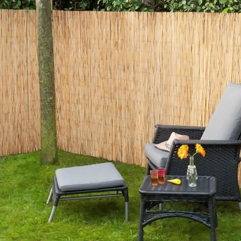 Nature - Natural reed canisse - 1,5x5 m
