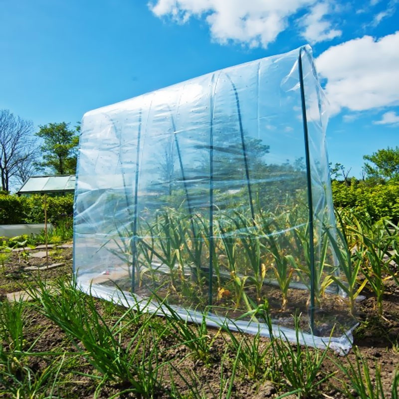 Nature - Arceau en acier plastifié vert pour tunnel haut spécial tomate h180cm Nature - Arceau en acier plastifié vert pour tunnel haut spécial tomate h180cm