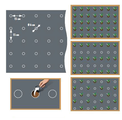 Nature - Universal black mulch film 20mic 490 holes x 6cm diameter - 140cm X 10m
