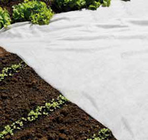 Nature - Groeifilm - PP. UV behandeld 17 G/M2 - 2X5M Nature - Groeifilm - PP. UV behandeld 17 G/M2 - 2X5M