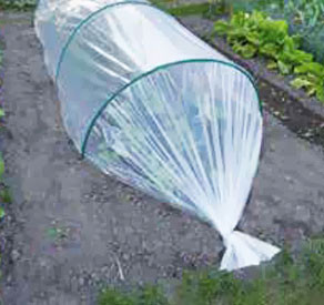 Nature - Film de croissance transparent 50mic 2X5m Nature - Film de croissance transparent 50mic 2X5m