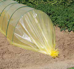 Nature - Yellow LDPE vegetable forcing film 70mic - 250cm X 5m