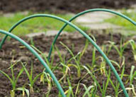 Nature - Flexibele PVC boog met 11mm diameter en 250cm hoogte Nature - Flexibele PVC boog met 11mm diameter en 250cm hoogte