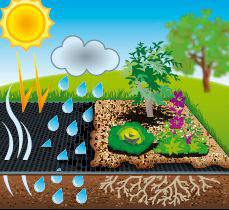 6030220 DE FIELTRO GEOTEXTIL - PP NO TEJIDO NEGRO. 50 G/M2 - 1 X 20 M 6030220 DE FIELTRO GEOTEXTIL - PP NO TEJIDO NEGRO. 50 G/M2 - 1 X 20 M