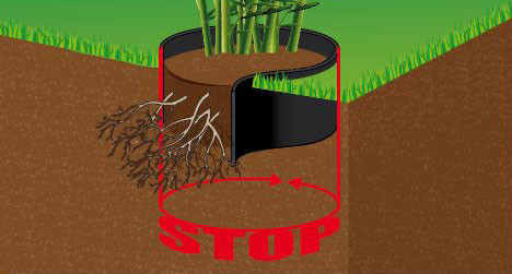 Nature - Wortelhek met afsluitrail - zwart 70cmX3m Nature - Wortelhek met afsluitrail - zwart 70cmX3m