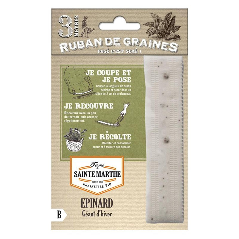 Ruban de 200 graines Epinard Géant d'hiver - La ferme Sainte Marthe