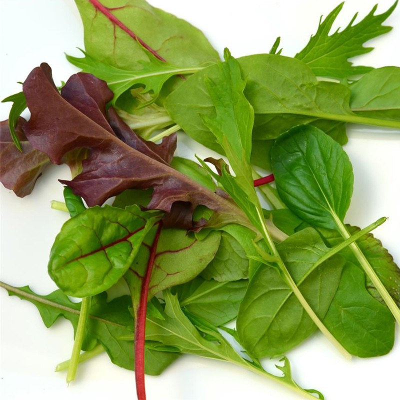 Band aus 300 Samen Mesclun Oriental - La ferme Sainte Marthe Band aus 300 Samen Mesclun Oriental - La ferme Sainte Marthe