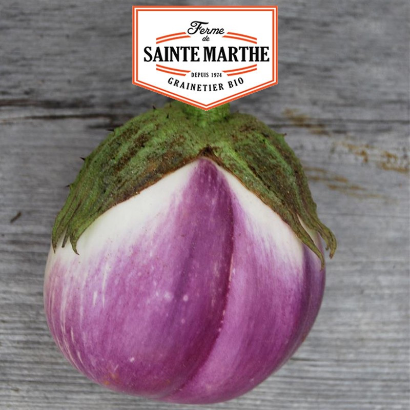 50 graines Aubergine Violetta di Firenze - La ferme Sainte Marthe