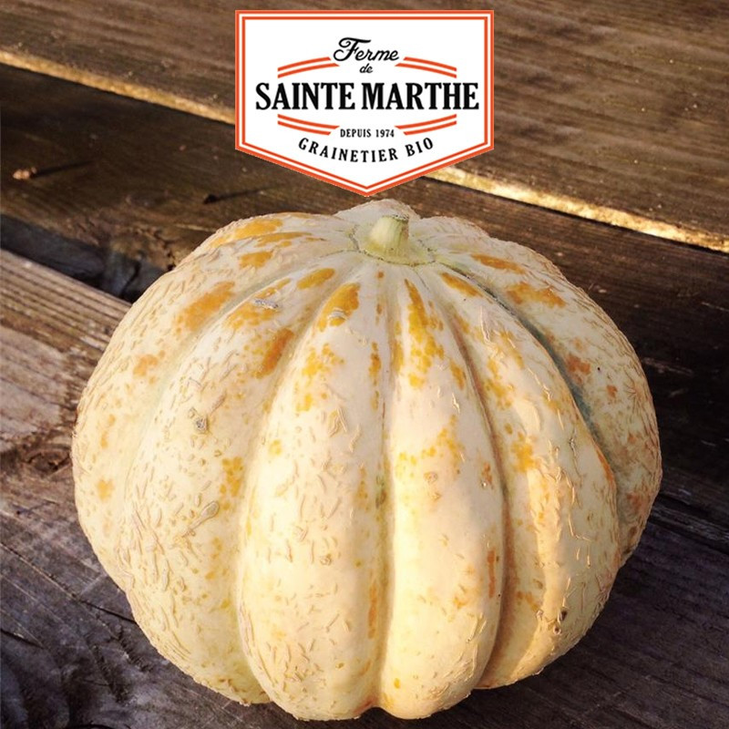 15 zaden Melon Délice de la table - La ferme Sainte Marthe
