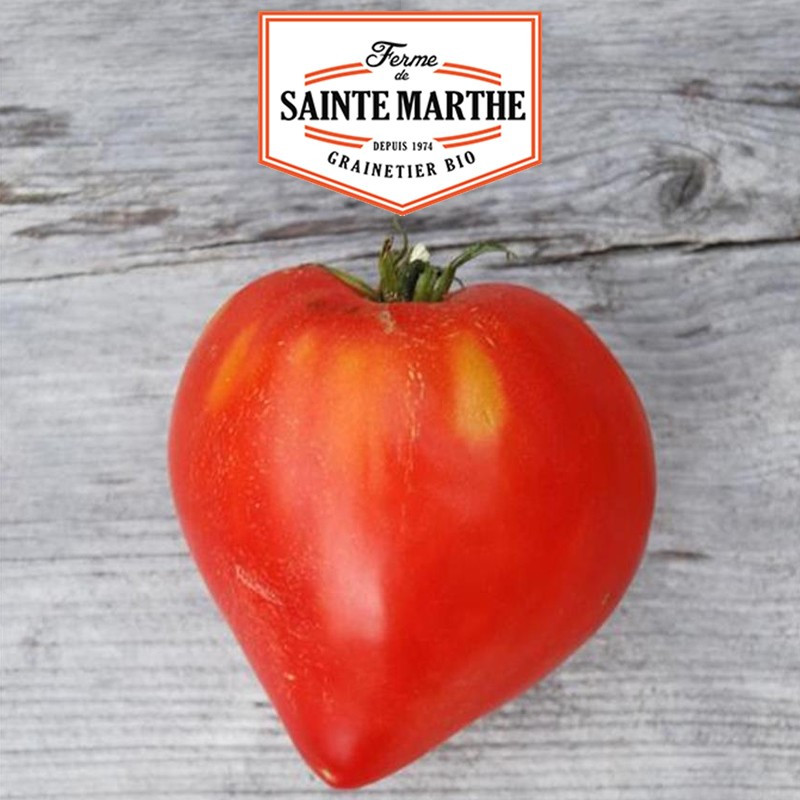 50 graines Tomate Coeur - La ferme Sainte Marthe