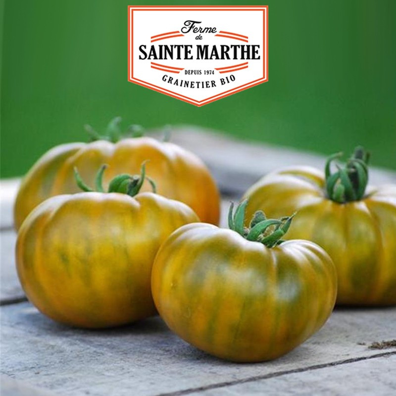 50 graines Tomate Evergreen - La ferme Sainte Marthe