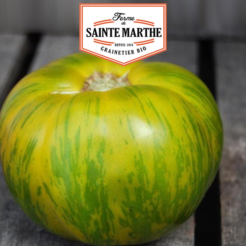 50 SEMILLAS de TOMATE VERDE CEBRA 0,15 g