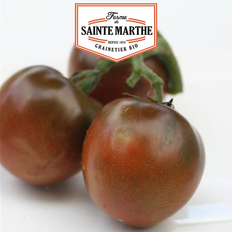 50 Samen Russische schwarze Tomate - La ferme Sainte Marthe