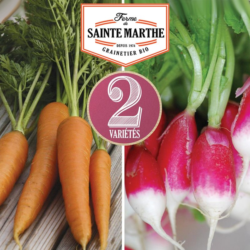1 500 graines Carotte et Radis : Nantaise 2 - de 18 jours - La ferme Sainte Marthe
