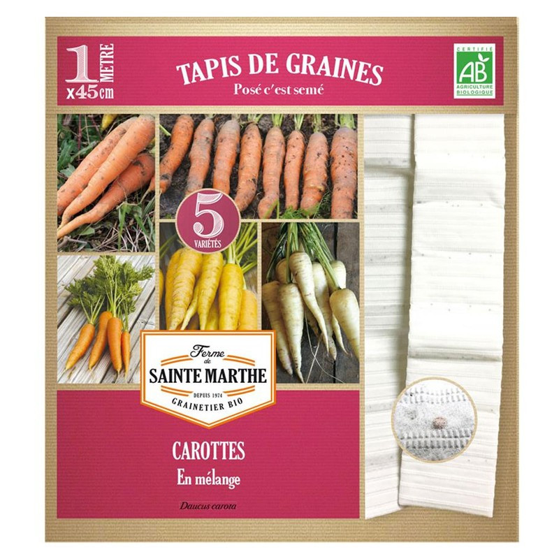 Carrots in 5 rows - La ferme Sainte Marthe