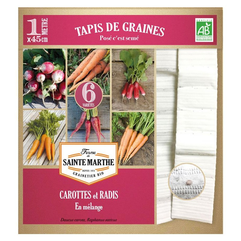 carrots and Radishes mixed on 6 rows - La ferme Sainte Marthe