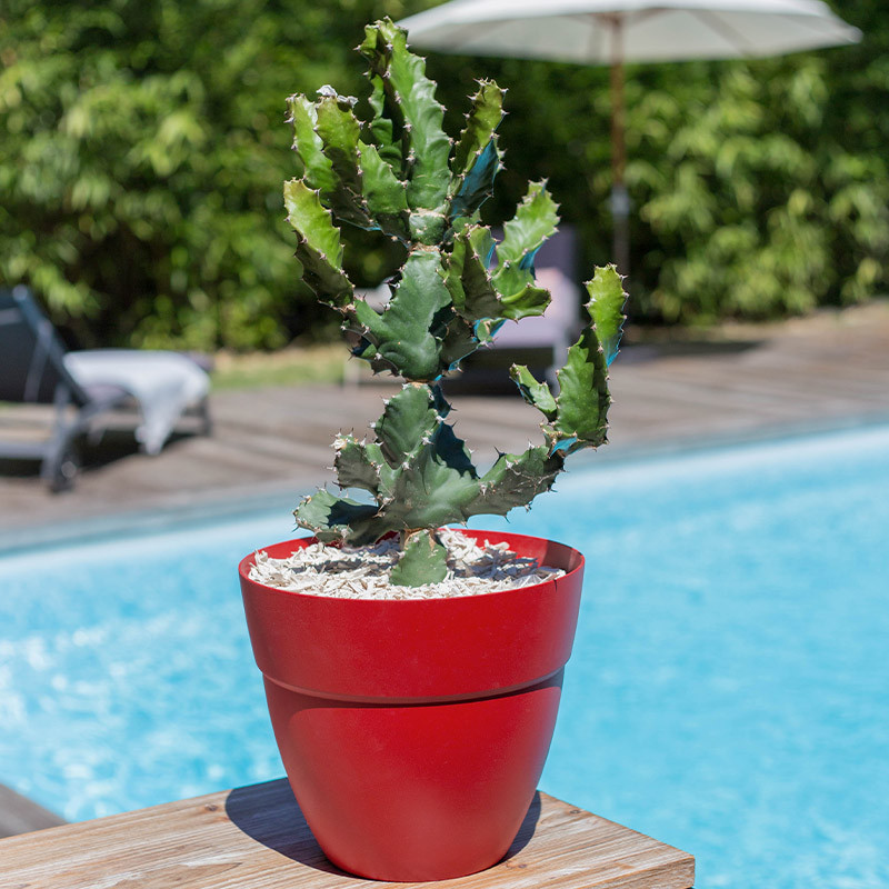 13560 R.RU CANCUN POT 30CM RUBY RED 11.7L 29,5X25,5CM 13560 R.RU CANCUN POT 30CM RUBY RED 11.7L 29,5X25,5CM