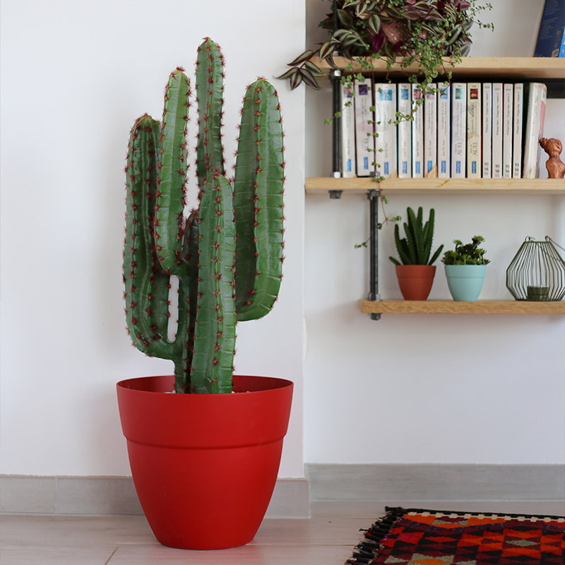 13560 R.RU CANCUN POT 30CM RUBY RED 11.7L 29,5X25,5CM 13560 R.RU CANCUN POT 30CM RUBY RED 11.7L 29,5X25,5CM