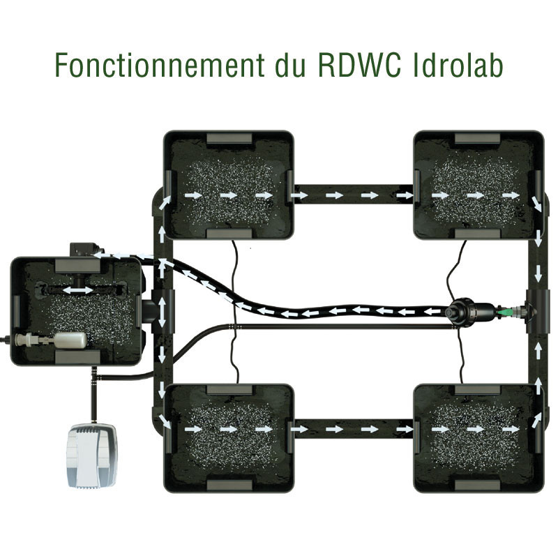SISTEMA RDWC 3 FILE ORIGINALE 24+1 CON DIFFUSORE TUBOFLEX SISTEMA RDWC 3 FILE ORIGINALE 24+1 CON DIFFUSORE TUBOFLEX
