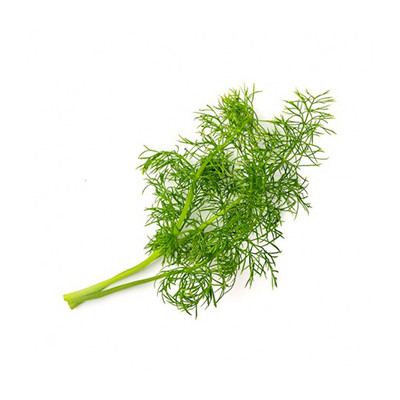 Seeds in refill ready to use - Lingot Fennel Organic - Genuine