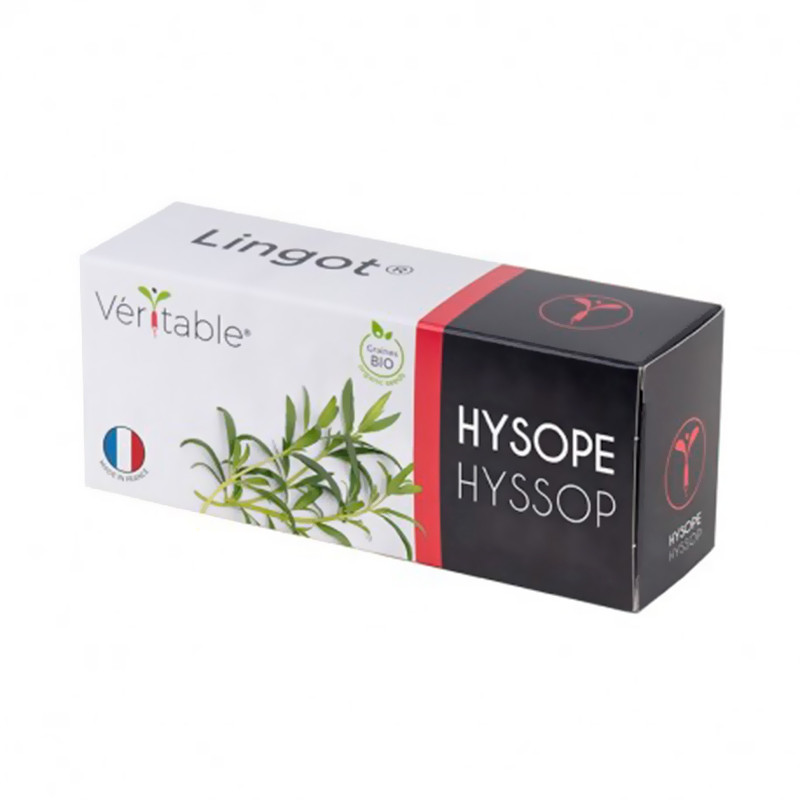 Samen in gebrauchsfertiger Nachfüllpackung - Lingot Hysope Bio - Echter