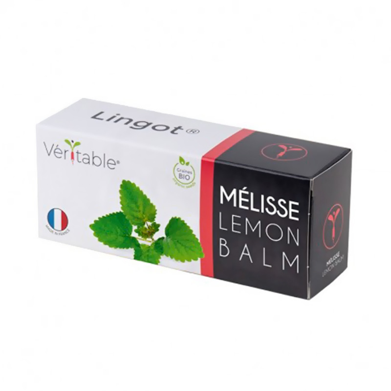 Samen in gebrauchsfertiger Nachfüllpackung - Lingot Melisse Bio - Echter Samen in gebrauchsfertiger Nachfüllpackung - Lingot Melisse Bio - Echter