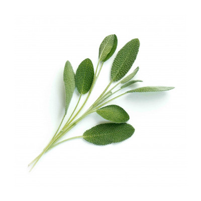 LINGOT SAUGE BIO LINGOT SAUGE BIO