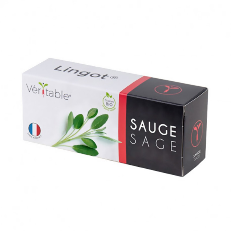 LINGOT SAUGE BIO