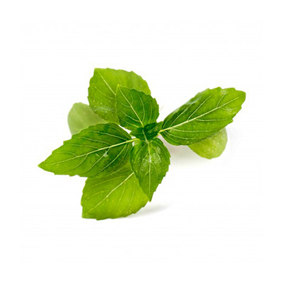 Seeds in refill ready to use - Lingot Basil Cinnamon Organic - Real
