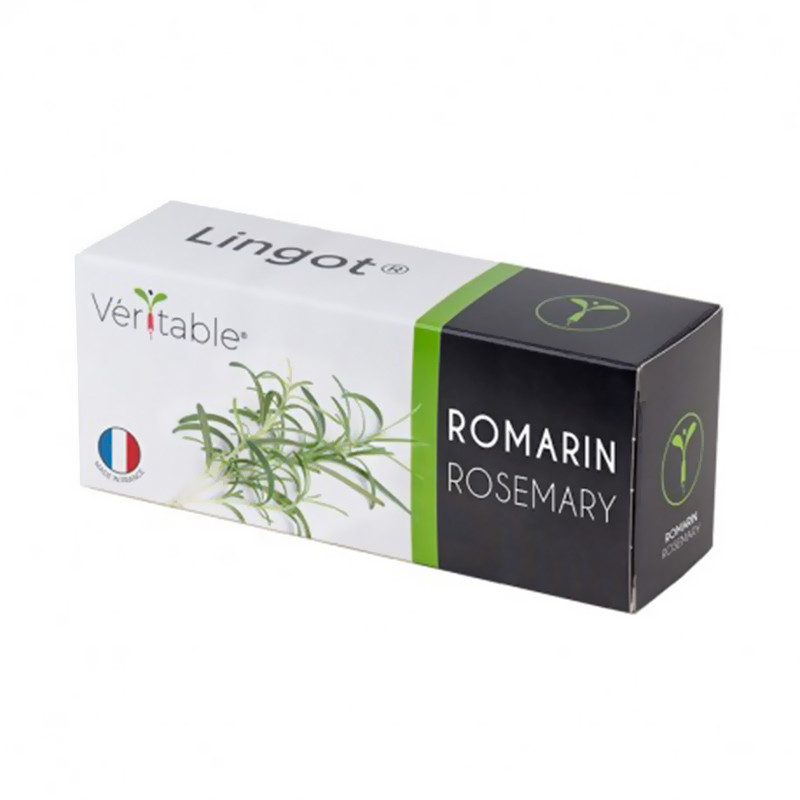 LINGOT ROMARIN