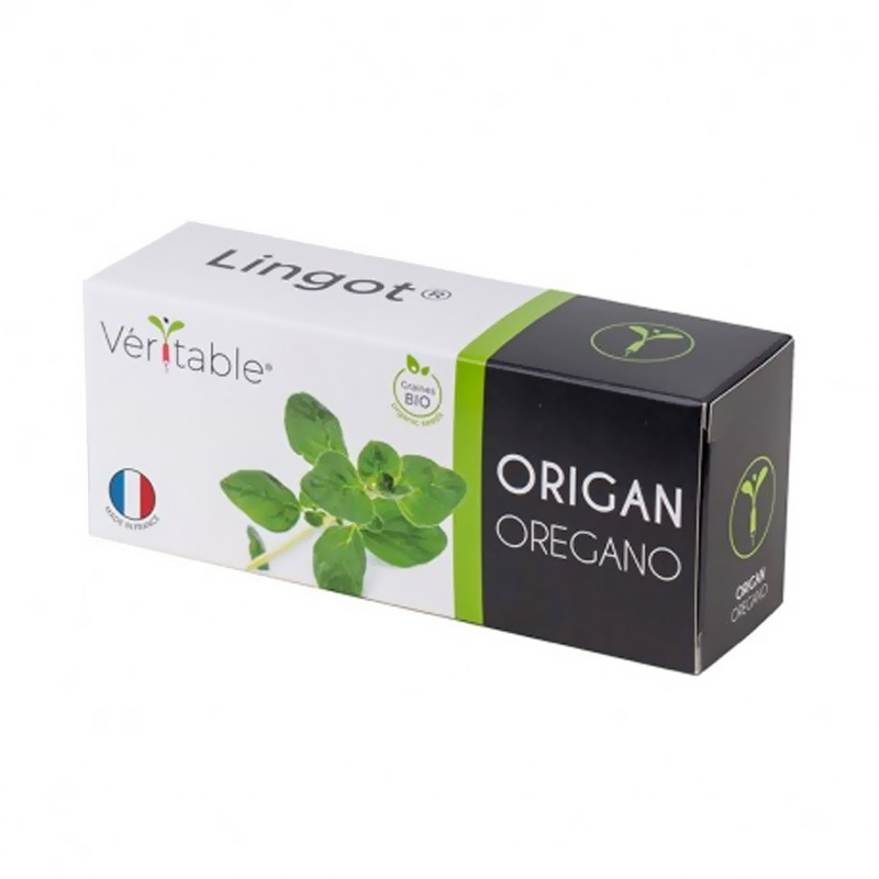 Samen in gebrauchsfertiger Nachfüllpackung - Lingot Origanum Bio - Echter Oregano