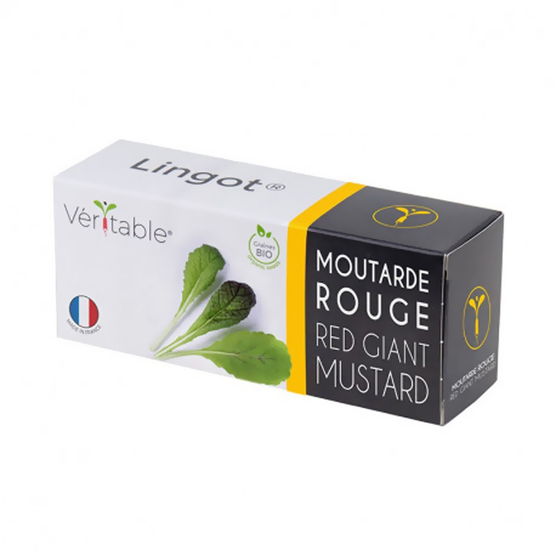 Graines en recharge prête à l'emploi - Lingot Moutarde Rouge Bio - Véritable