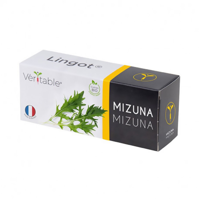Samen in gebrauchsfertiger Nachfüllpackung - Lingot Mizuna Bio - Echt