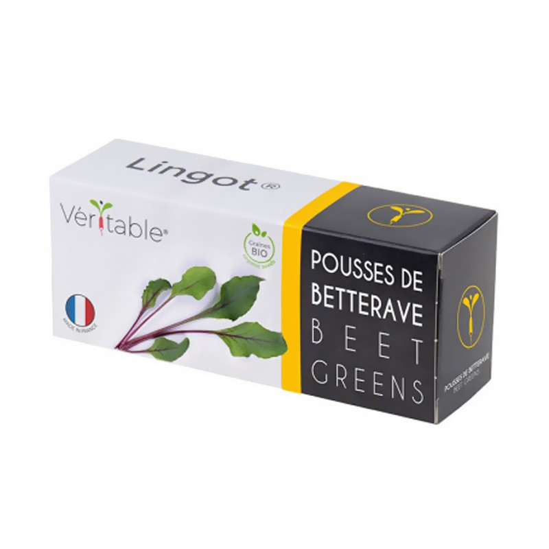 Graines en recharge prête à l'emploi - Lingot Pousses de Betterave Bio - Véritable Graines en recharge prête à l'emploi - Lingot Pousses de Betterave Bio - Véritable
