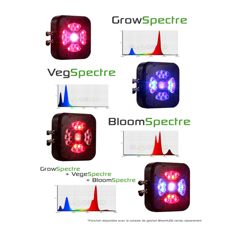 MÓDULO BLOOMLED SPECTRA X135