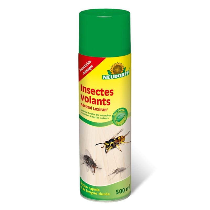 FLYING INSECTS AEROSOL LOXIRAN 500ML