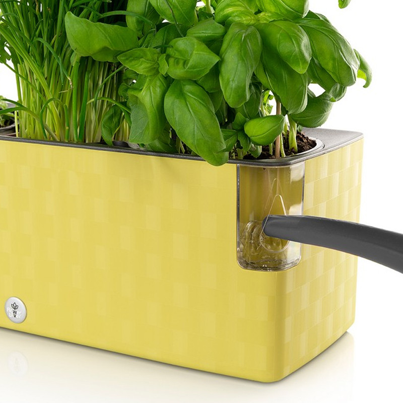 TRÍO DE ADOQUINES VERDE ALBAHACA TRÍO DE ADOQUINES VERDE ALBAHACA