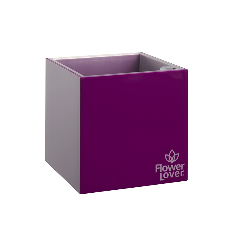 Vaso da fiori - Cubico - Viola - 9x9x9cm - Amante dei fiori