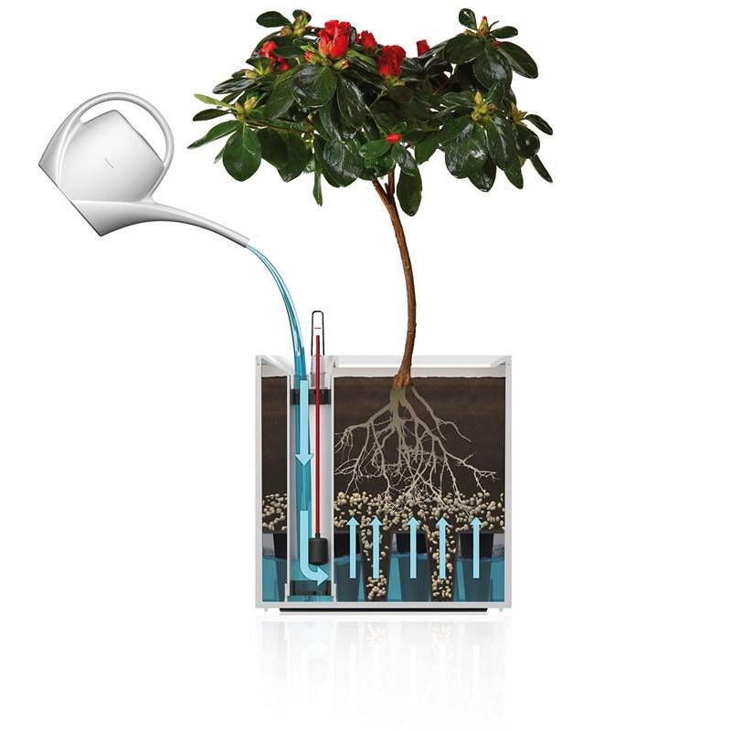 Flower pot - Cubico - Elegant red - 21x21x21cm - Flower Lover Flower pot - Cubico - Elegant red - 21x21x21cm - Flower Lover